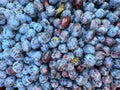 Macro photos of plum fruit food.