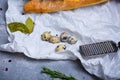 Macro picture of lunch ingredients on a grese-proof paper background. French baguette, metal grater, quail eggs and bay Royalty Free Stock Photo