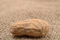 Macro picture of a peanut in a shell on a jute background Royalty Free Stock Photo