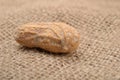 Macro picture of a peanut in a shell on a jute background Royalty Free Stock Photo