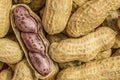 Macro picture of peanuts seed Royalty Free Stock Photo