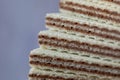 Macro of pile of classic Original Manner Neapolitaner wafers filled with hazelnut cocoa cream manufacturer in Austria