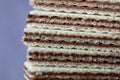 Macro of pile of classic Original Manner Neapolitaner wafers filled with hazelnut cocoa cream manufacturer in Austria