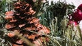 Macro pine tree cone among needles of fir tree and red berries. Close-up Christmas wreathe. Xmas festive decor. Soft