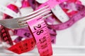 Macro pink tape measure on fork
