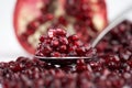 Macro of pomegranate seeds Royalty Free Stock Photo