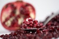 Macro of pomegranate seeds Royalty Free Stock Photo