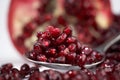 Macro of pomegranate seeds Royalty Free Stock Photo