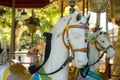 Macro portrait on horse heads of a carousel