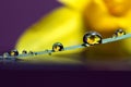 A macro portrait of some waterdrops on a blade of grass touching the surface of some water. In the bubbles the image of the