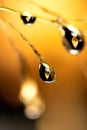 A macro portrait of water drops hanging from a blade of grass with in the droplets the refraction of a fall colored leaf
