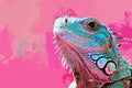 macro profile portrait of iguana lizard on pink background