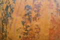 Macro pumpkin skin with natural orange and green patterns. Royalty Free Stock Photo