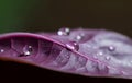 Macro purple leaf. Generate Ai