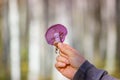 Macro of Purple Mushroom Gills and Orange Leaf: Cortinarius violaceus