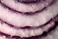 Macro of a purple onion texture in a cut Royalty Free Stock Photo