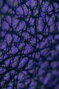 Macro of purple textured leather Royalty Free Stock Photo