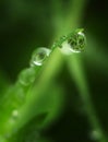 Macro of raindrop