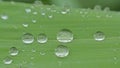 Macro of raindrops on a green grass blade