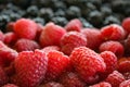 Macro of raspberries. Close up of raspberries and blackberries in the background