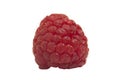 Macro of raspberry fruit isolated Royalty Free Stock Photo