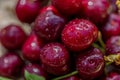 Macro red cherries. Water drops or dew drops on ripe juicy cherries. Sweet      fruits. Shallow depth of field.  Art photography Royalty Free Stock Photo