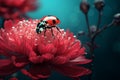 Macro red ladybug daisy Royalty Free Stock Photo