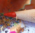 Macro of red pencil at school Royalty Free Stock Photo