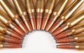 Macro of rifle bullets Royalty Free Stock Photo