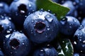 macro of ripe blueberries covered with water drops