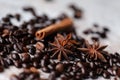 Macro. Roasted coffee beans and spices: anise and cinnamon. Ingredients for spicy traditional local hot drink. Morning ritual Royalty Free Stock Photo