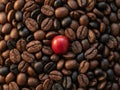 Macro Roasted Coffee Beans Texture Background With Single Red Raw Coffee Cherry Royalty Free Stock Photo