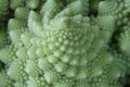 Macro of Romanesco broccoli, or Roman cauliflower, with its fractal shapes and Fibonacci sequences. Close-up Royalty Free Stock Photo