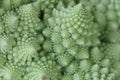 Macro of Romanesco broccoli, or Roman cauliflower, with its fractal shapes and Fibonacci sequences. Close-up Royalty Free Stock Photo