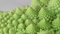 Macro of Romanesco broccoli, or Roman cauliflower, with its fractal shapes and Fibonacci sequences. Close-up Royalty Free Stock Photo