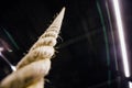 Macro rope hanging from the ceiling in the gym. Motivation, improvement concept. No one