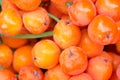 Macro of rowan berries