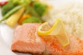 Macro salmon filet meal Royalty Free Stock Photo