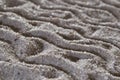 Macro sand texture Royalty Free Stock Photo