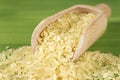 Macro scoop of rice