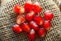 Macro seed of pomegranate