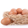 Macro shoot of brown eggs at hay nest in chicken farm, isolated Royalty Free Stock Photo