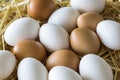 Macro shoot of brown / white  eggs at hay nest in chicken farm Royalty Free Stock Photo