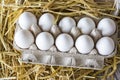 Macro shoot of brown / white  eggs at hay nest in chicken farm Royalty Free Stock Photo