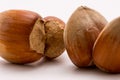 Macro shoot of unpealed dual hazelnut