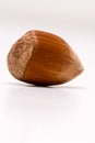 Macro shoot of unpealed hazelnut