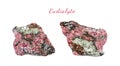 Macro shooting of natural gemstone. Natural rock specimen of eudialyte. Isolated object on a white background. Royalty Free Stock Photo