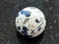 Bead from Dalmatian Jasper gemstone on dark