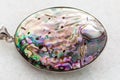 pendant from Abalone (haliotis) shell on white Royalty Free Stock Photo