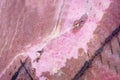 Macro shooting of natural mineral stone. Natural pink brown rhodonite with black veins Royalty Free Stock Photo
